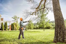 How Our Tree Care Process Works  in  New Franklin, MO